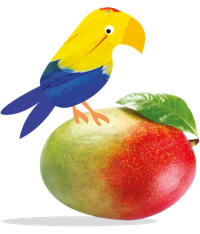 Bazqet papegaai op mango